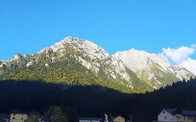 Pensiunea Katalina 2